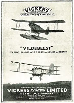 Vildebeest: Vickers Vildebeest