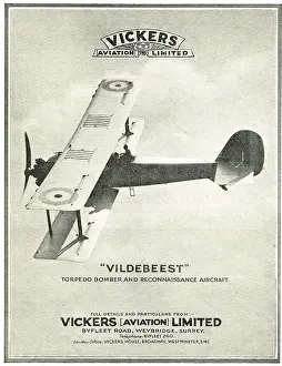 Vildebeest: Vickers Vildebeest