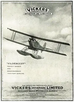 Vildebeest: Vickers Vildebeest