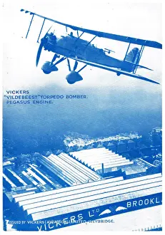 Vildebeest: Vickers Vildebeest