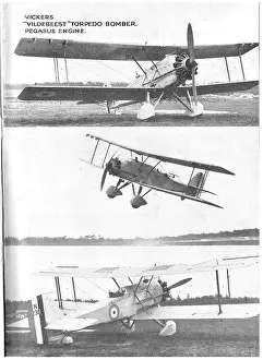 Vildebeest: Vickers Vildebeest