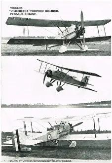 Vildebeest: Vickers Vildebeest