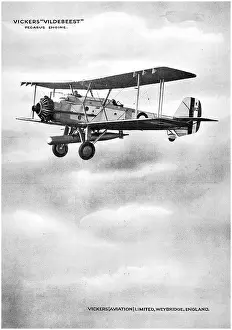 Vildebeest: Vickers Vildebeest K1827