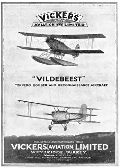 Vildebeest: Vickers Vildebeest Torpedo Bomber