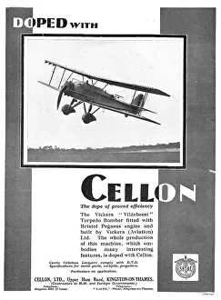 Doped: The Vickers Vildebeest Torpedo Bomber Is Doped With Cellon