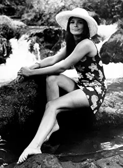 Vicki: Vicki Dauray