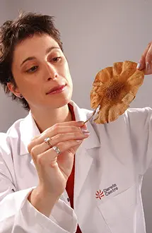 Vicki: Vicki Noble with botanical specimen