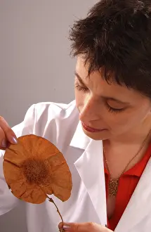 Vicki: Vicki Noble with botanical specimen