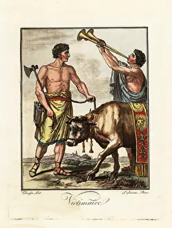 Aulos: Victimarius, an assistant at a ritual sacrifice