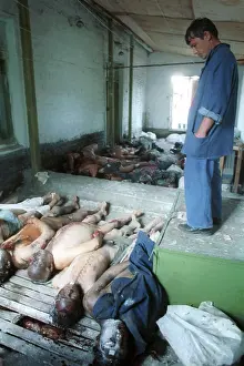Extremists: Victims of ethnic conflict, 1990