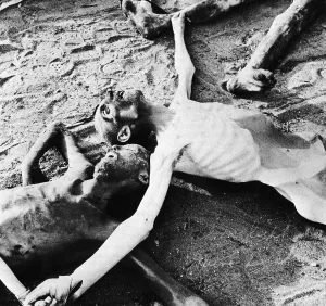Corpses: Victims of the Holocaust, 1945