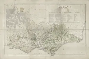 Brough: Victoria Distribution of Forest Trees (Everett, 1872)