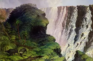 Outlet: The Victoria Falls, by Thomas Baines