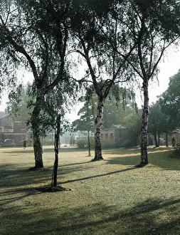 Incolourisedpic: VICTORIA PARK, CARDIFF