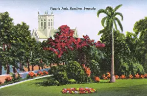 Bermudan: Victoria Park, Hamilton, Bermuda