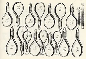 Clippers: The Victorian Catalogue of Tools for Trades