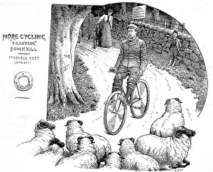 Encountering: Victorian Cyclist encountering a flock of sheep 1898