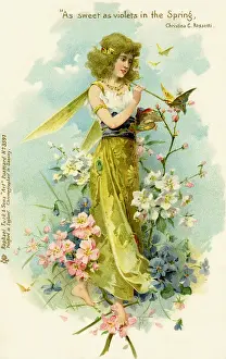 Victorian flower fairies