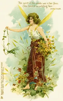Victorian flower fairies