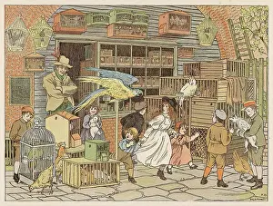 Cockatoo: Victorian Pet Shop - 1899