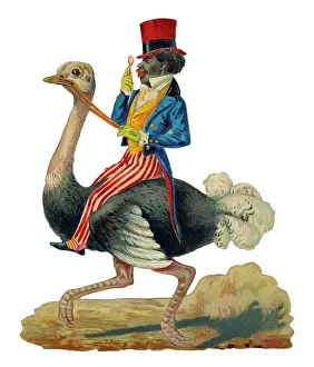 Stripy: Victorian scrap, black man riding an ostrich
