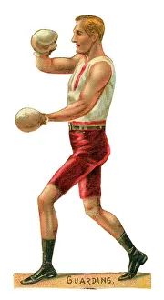Guarding: Victorian scrap - boxer guarding
