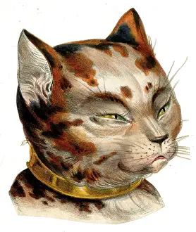 Whiskers: Victorian scrap, cat's head