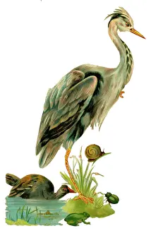 Snail: Victorian scrap, heron, frog, snail and beetle