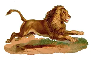 Leaping: Victorian scrap, leaping lion