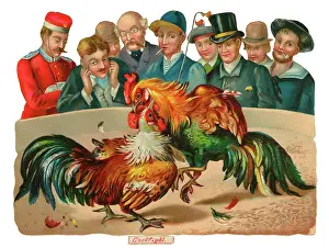 Scrap: Victorian Scrap, men watching cock fight
