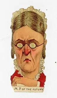 Misogynistic: Victorian scrap - MP of the future