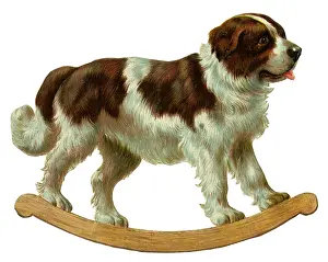 Scrap: Victorian scrap - rocking St Bernard dog