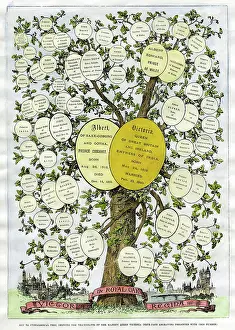 Genealogical: VICTORIA'S FAMILY TREE