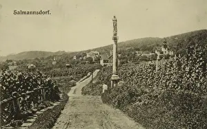 Kohn: Vienna 19 Salmannsdorf. Baroque column in the