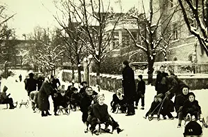 Doebling: Vienna 19: A toboggan run released by the