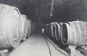 Dobling: Vienna 19 - Wine cellar of the wine saler