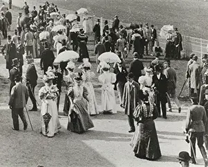 Freudenau: Vienna 2. Audience at the track in