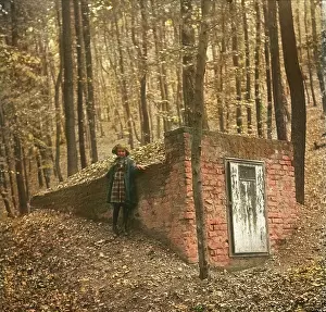 Austra: Well in the Vienna woods