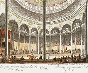 Bachs: The Viennese Circus Gymnasticus