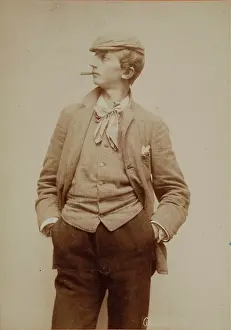 Pulcher: Viennese Pulcher'. 1886