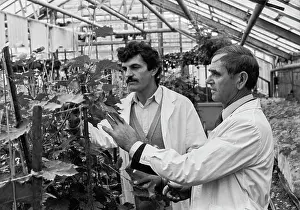 Potyrnike: Vierul scientific and production association