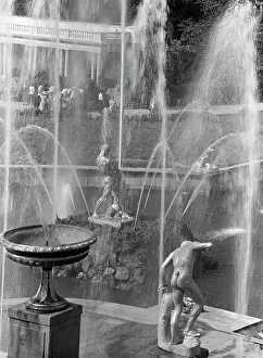 Samson: Vies of Peterhof