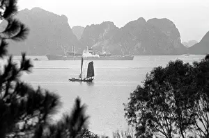 Kavashkin: Vietnam, 1980