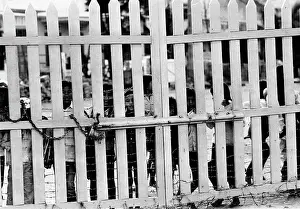 Strongest: VIETNAM WAR - 1955 - 1975