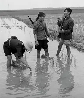 Cooperative: Vietnam War, 1969