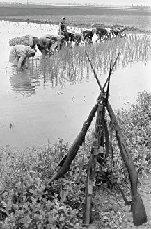 Sobolev: Vietnam War, 1969