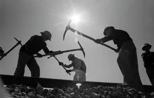 Budan: Vietnam War, 1973