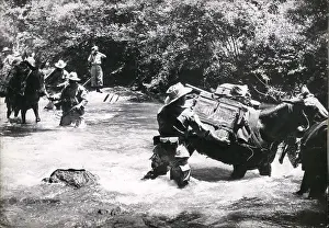 Lately: Vietnam War