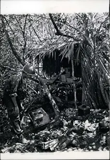 Mangrove: Vietnam War