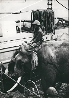 Tonkin: Vietnam War